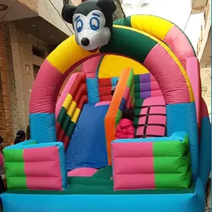 Inflatable Bounce